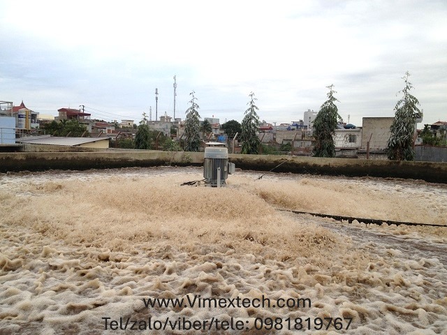 7 trường hợp tạo váng bọt điển hình + giải pháp xử lý tại chỗ dựa trên nguyên lý vi sinh và vận hành của hệ thống hiếu và yếm khí