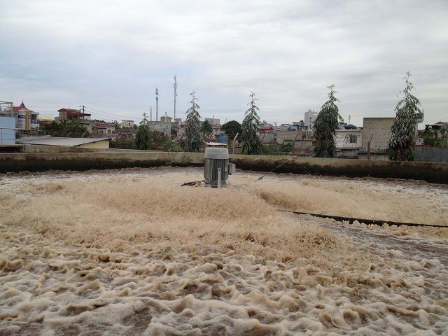 Hướng dẫn nuôi cấy vi sinh trong HTXLNT