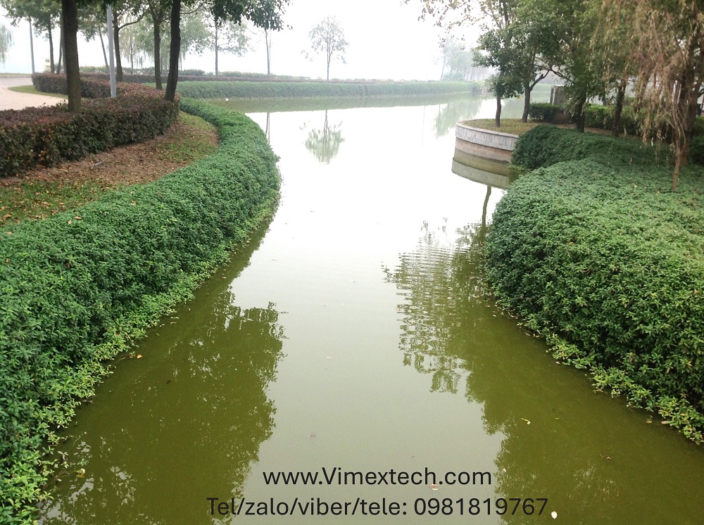 So sánh FeCl3 và PFS (Poly Ferric sulphate) trong quá trình xử lý nước thải