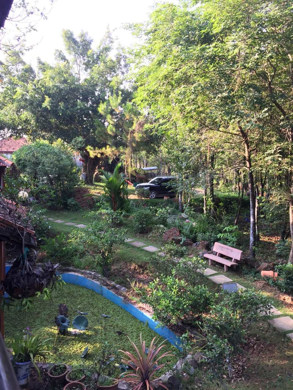 So sánh chi tiết về liều lượng sử dụng của Na₂EDTA và Na₄EDTA trong ba ứng dụng cụ thể (phân bón, chống cáu cặn nước và tách vàng ra khỏi quặng).