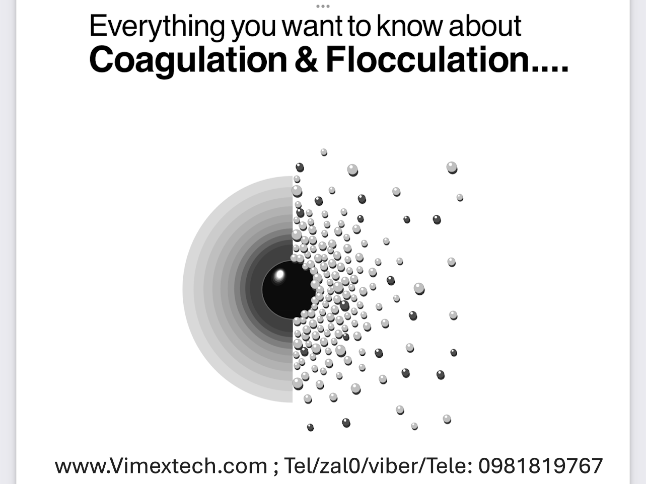 Tóm tắt bản dịch 