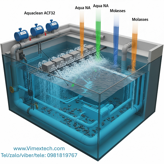 Tính toán men sinh học Aquaclean ACF32, Aqua NA, mật gỉ đường cho 1000m3 nước thải sinh hoạt đô thị