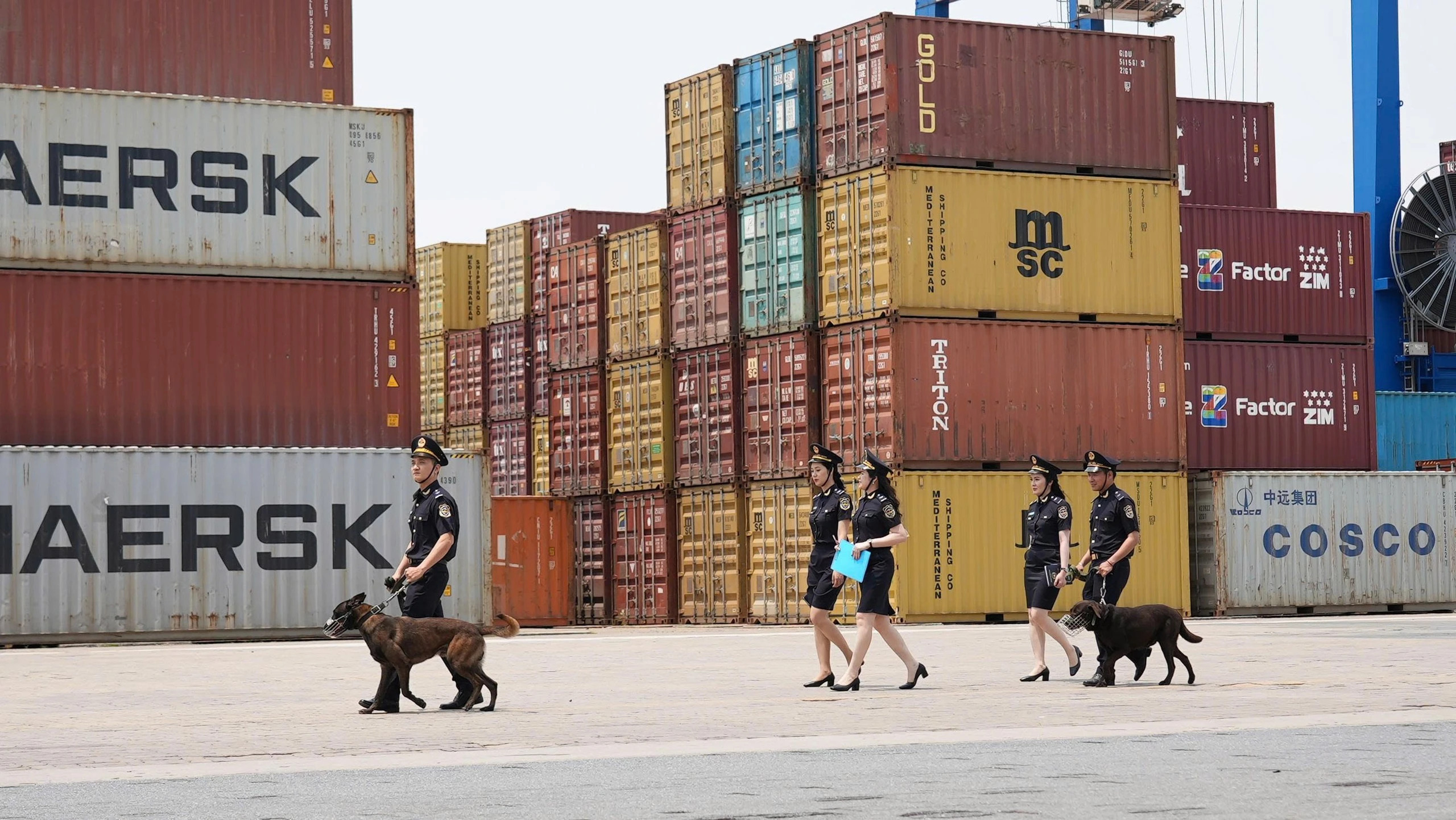 Hải quan khu vực II cảnh báo những rủi ro trong xuất nhập khẩu tiền chất