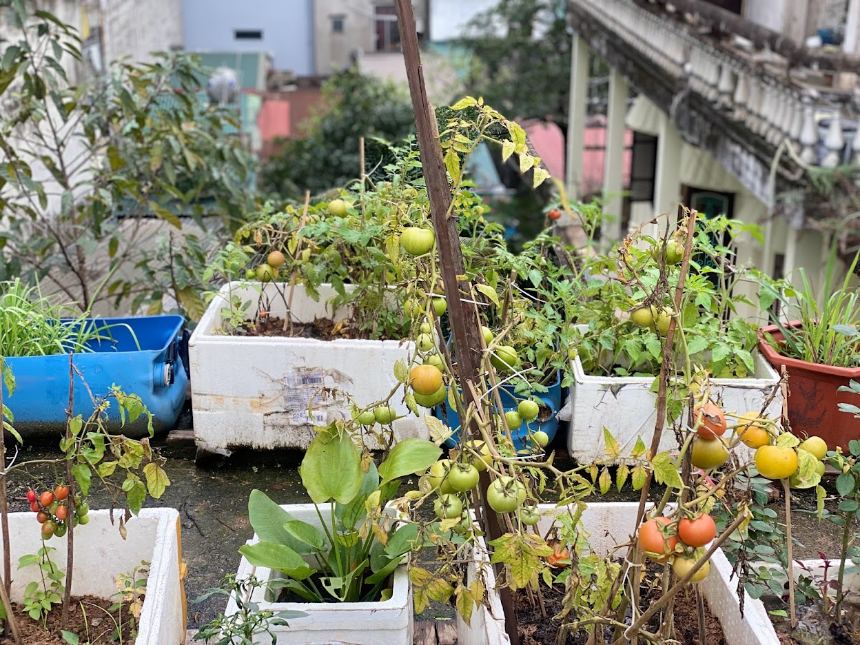 Chủ tịch Hà Nội muốn biến bãi rác Nam Sơn thành công viên