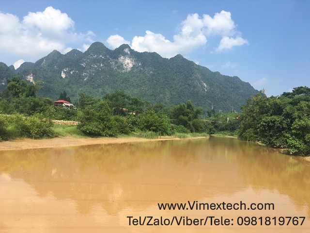 Các Mỏ Vàng Lớn Nhỏ Tại Việt Nam: Trữ Lượng và Đặc Điểm Hóa Học