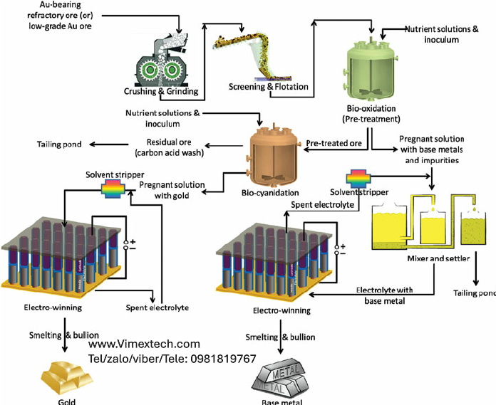 Bản dịch chi tiết ấn phẩm 