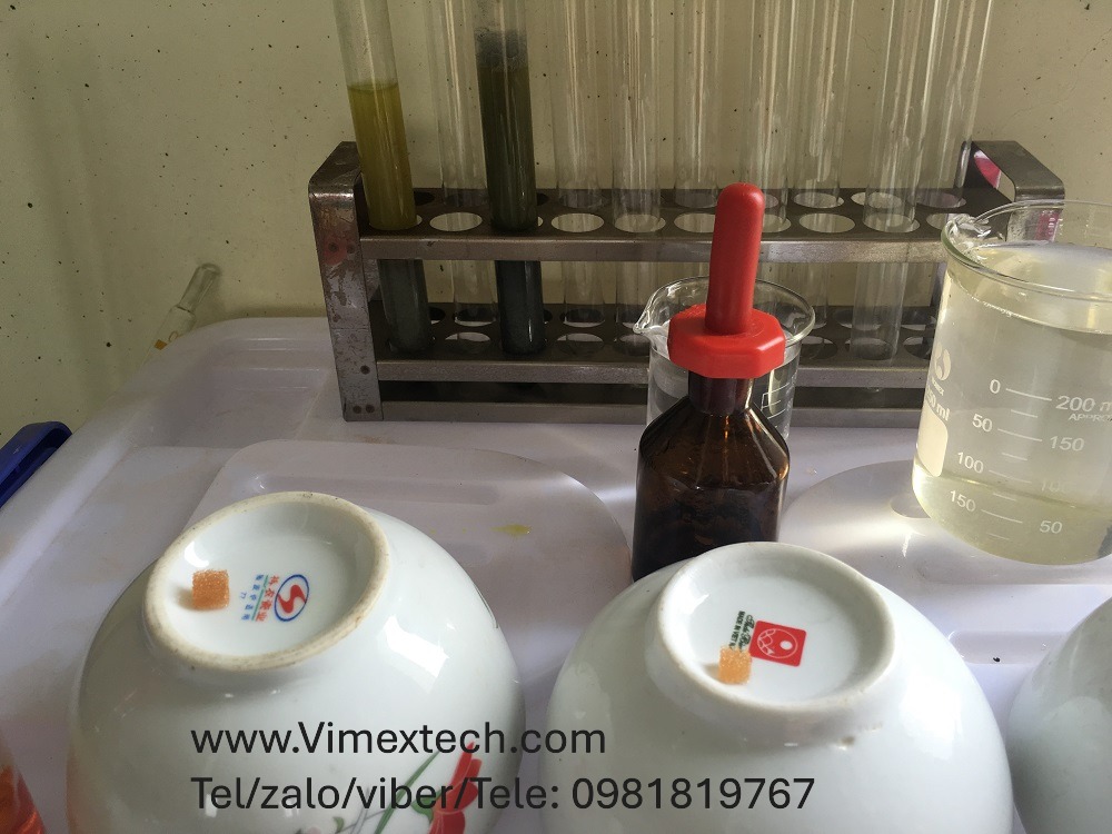 So sánh Thuốc thử hữu cơ chỉ thị màu ( RhodaminB và Michler's Thioketone)  chuyên dùng để phát hiện ion Au³⁺ một cách chọn lọc tại hiện trường, đơn giản và dễ làm.