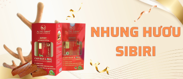 Nấm linh chi Hàn Quốc