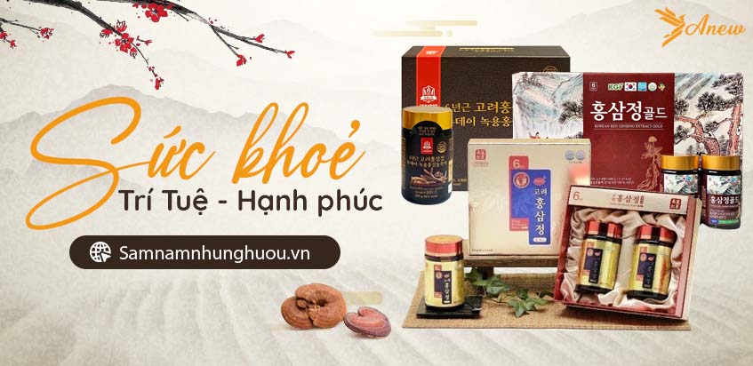 Công ty cổ phần Anew