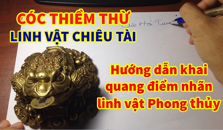 Cách khai quang Thiềm Thừ - Cóc ba chân