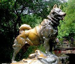 Chó phong thủy mang lại vận may