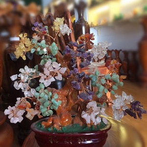 Cây tài lộc phong thủy