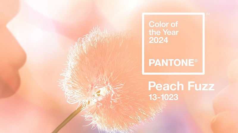 Màu Pantone Peach Fuzz - 2024 ( hồng đào) - Sự thay đổi khi đưa vào không gian nội thất