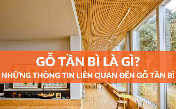 Gỗ tần bì – Gỗ Ash là gì? Ưu nhược điểm, phân loại và đặc tính của gỗ tần bì