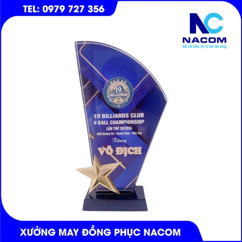 Kỷ niệm chương - in logo theo yêu cầu