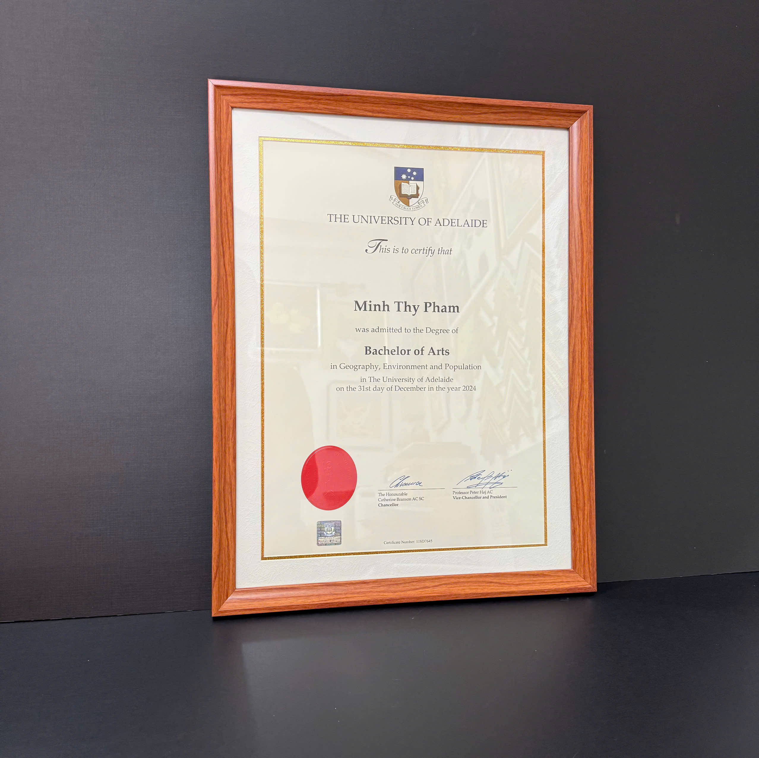 Khung Bằng Khen Nước Ngoài Tại Nice House: Tôn Vinh Thành Tựu Toàn Cầu