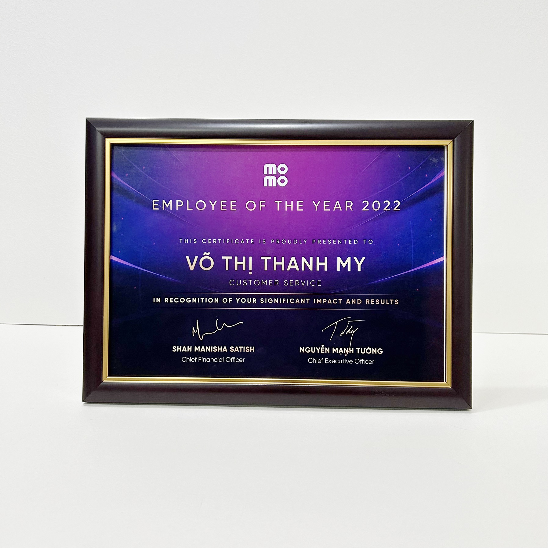 Khung Bằng Khen Nâu Chỉ Vàng 102CV