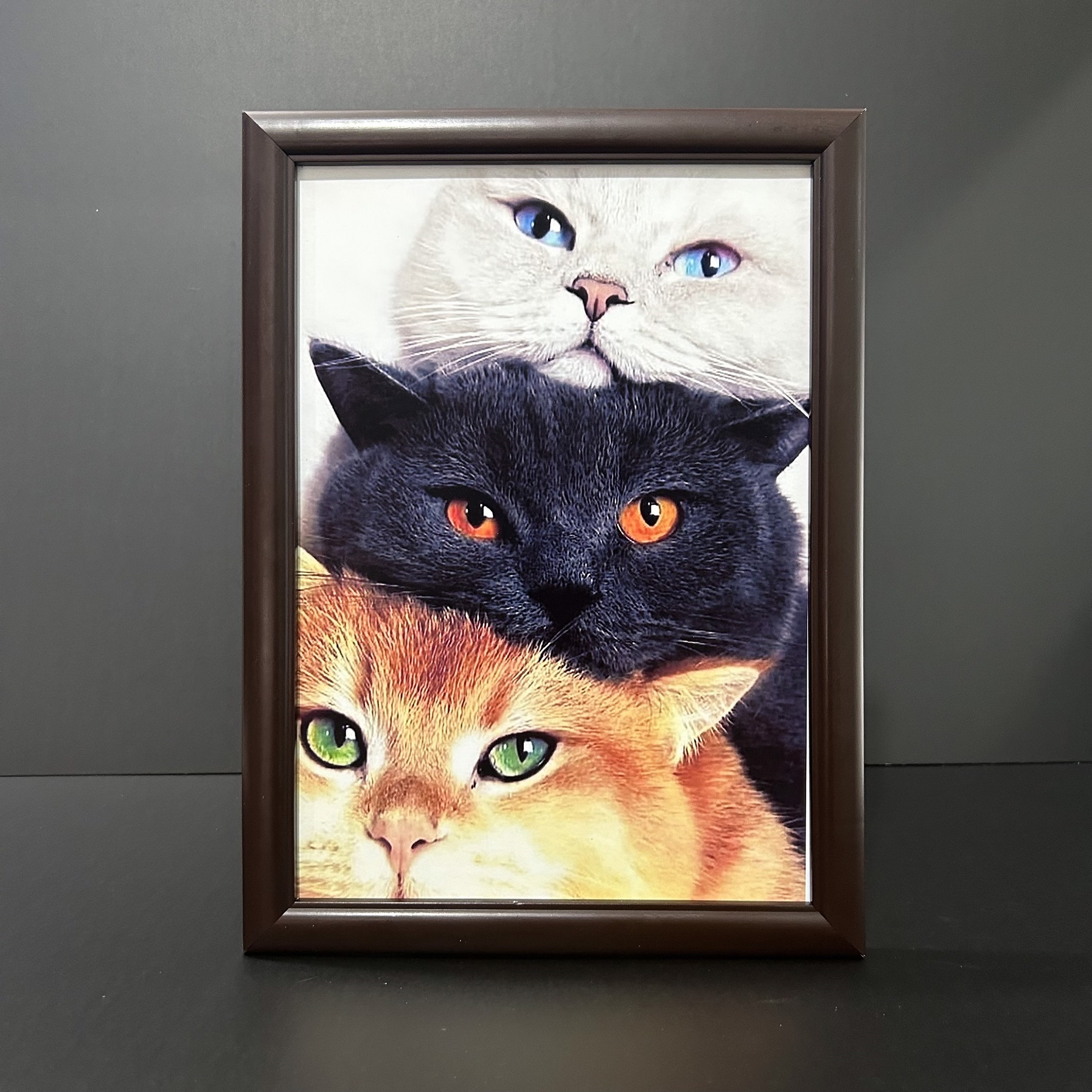 Mẫu Khung Gỗ 103N