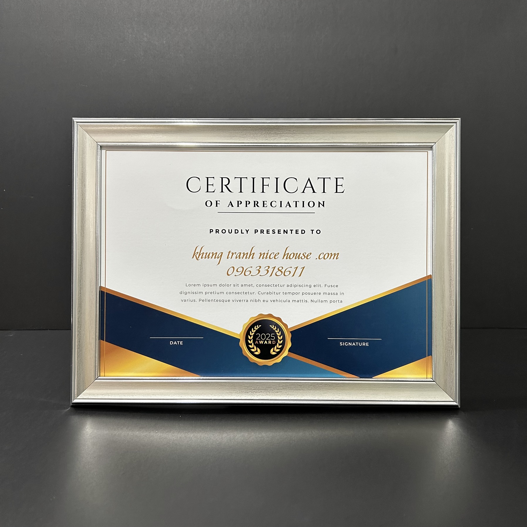 Khung Bằng Khen Màu Bạc Sang Trọng 205S