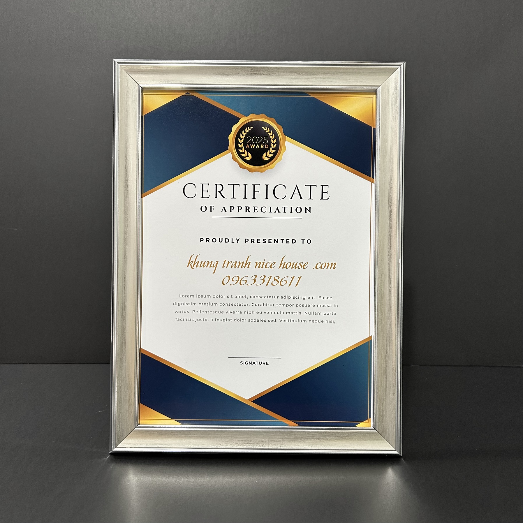 Khung Bằng Khen Màu Bạc Sang Trọng 205S