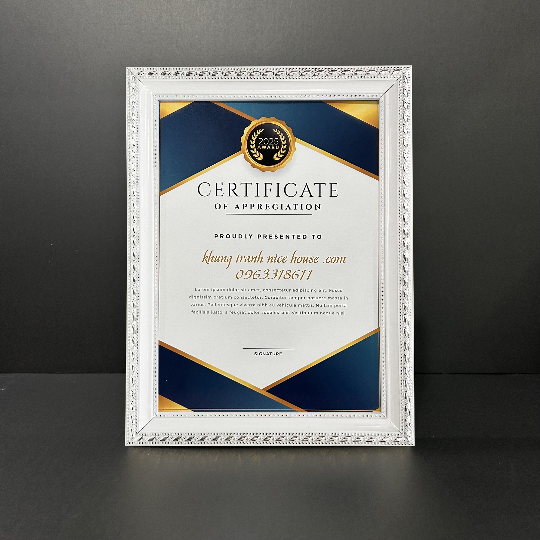 SALE OFF Khung Bằng Khen 329TB 20 X 30