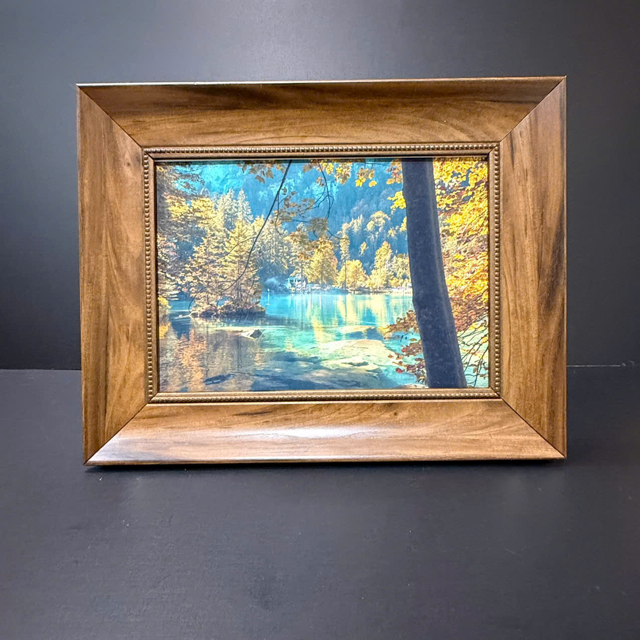 Khung Tranh Ảnh Màu Gỗ 679