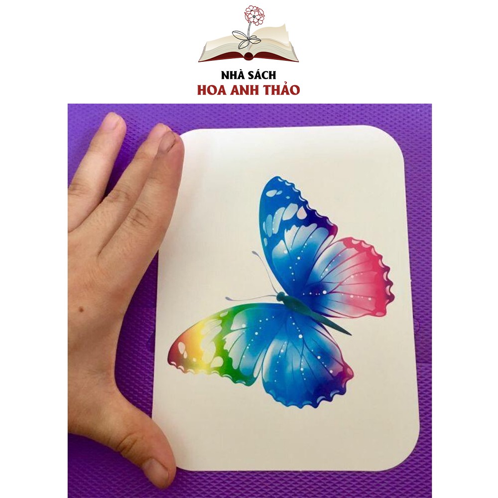 Flashcard Dạy trẻ về thế giới xung quanh Việt Hà song ngữ 19 chủ đề Glenn Doman từ 0-6 tuổi