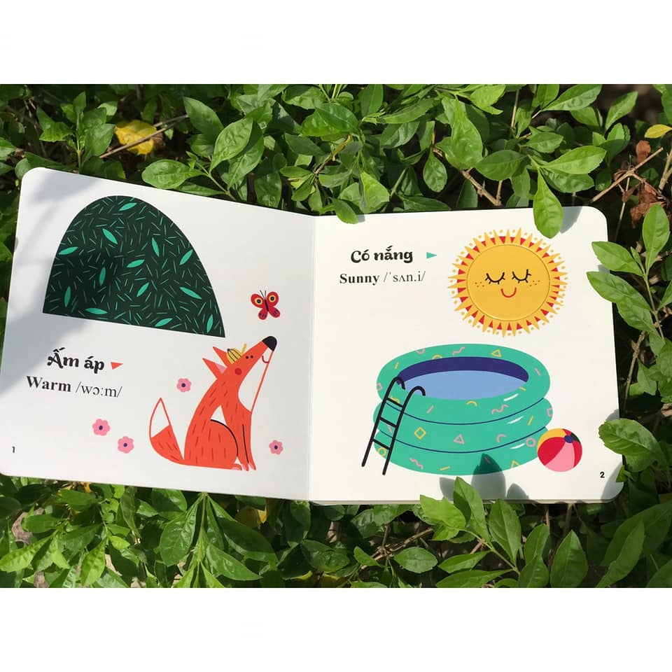 Combo 4 quyển  Đục trổ thông minh Những từ vựng đầu đời của bé song ngữ Việt Anh cho bé dưới 6 tuổi