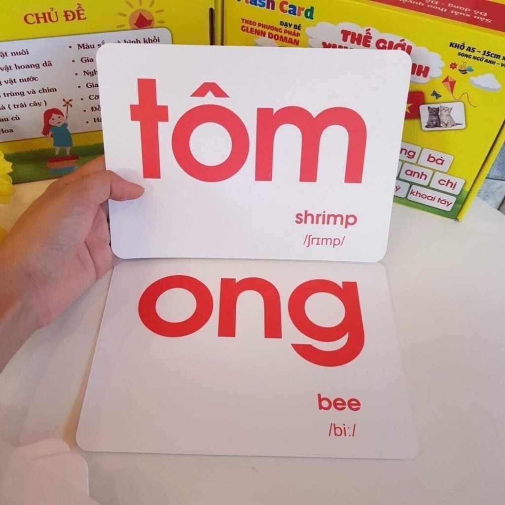 Bộ Thẻ Học Thông Minh Cho Bé Loại To Khổ A5