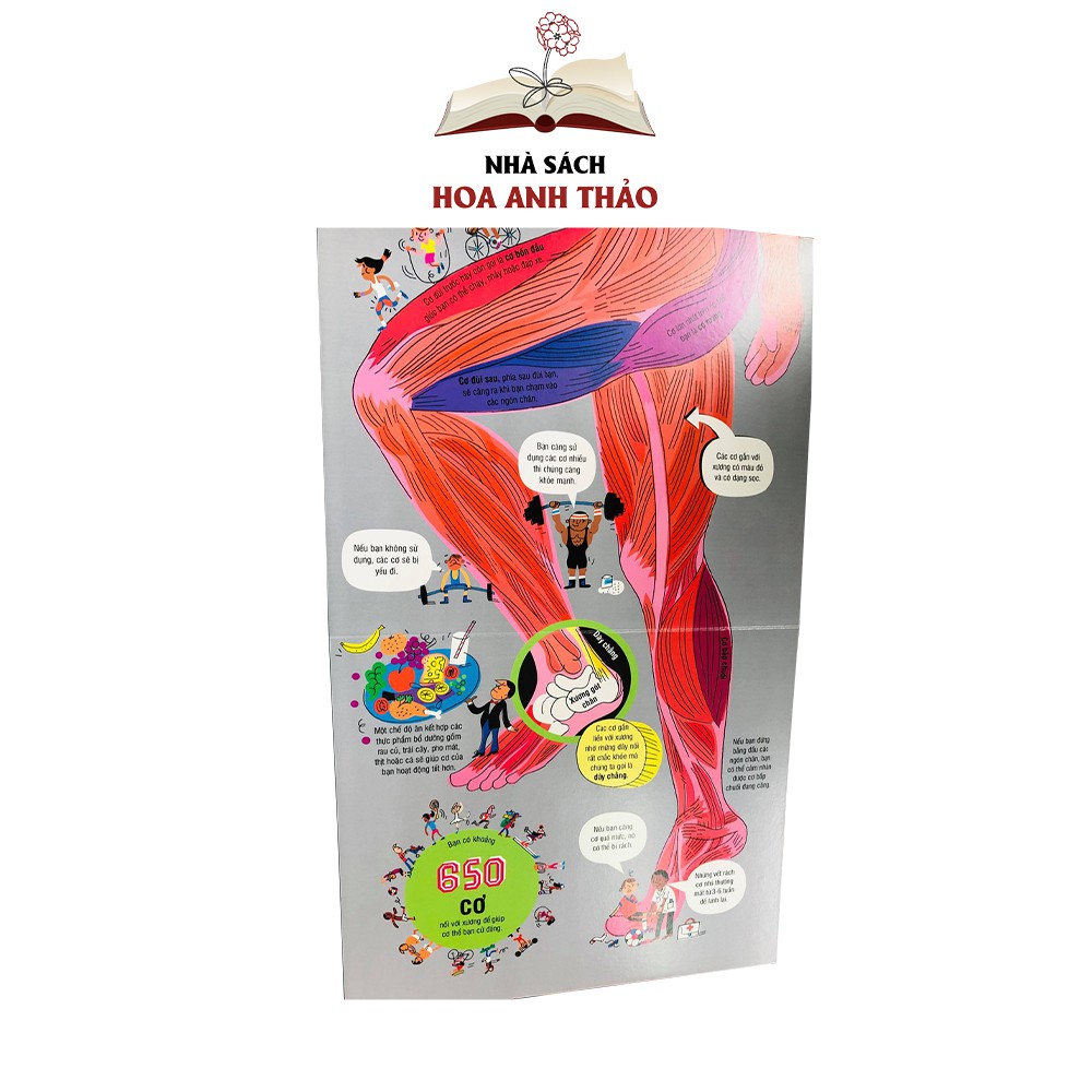 Sách tương tác - Big book Cuốn sách khổng lồ về cơ thể người