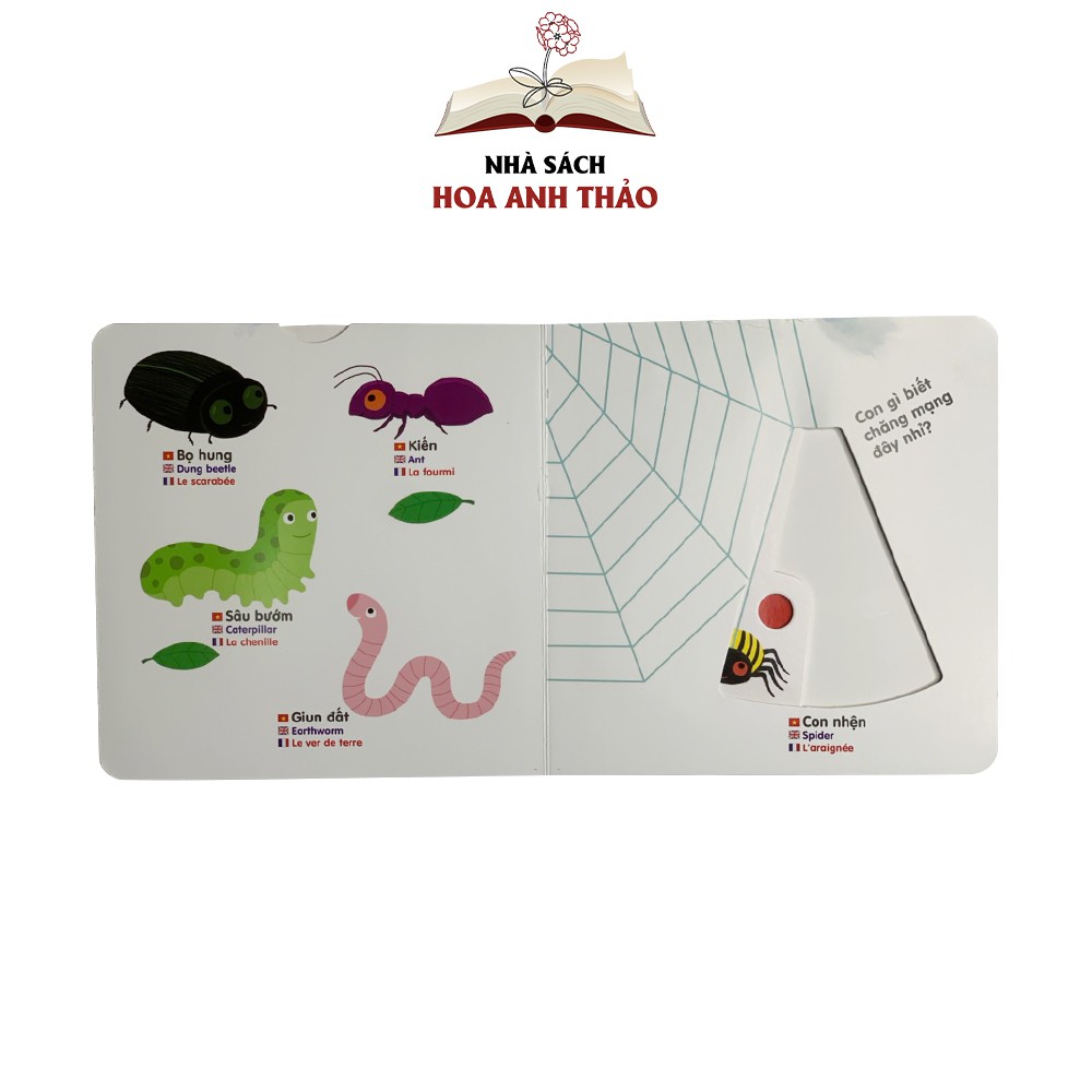 Sách chuyển động tương tác - Đa ngữ Anh Việt Pháp chủ đề Small animals Các động vật nhỏ bé