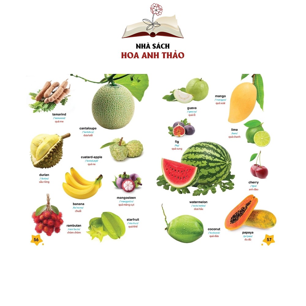 Sách Tiếng Anh cho bé Bé chinh phục tiếng anh theo chủ đề phiên bản có âm thanh