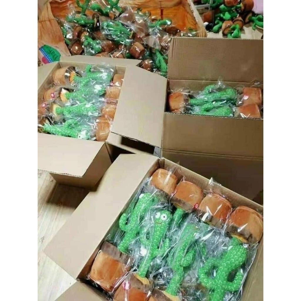 Xương rồng nhảy múa vui nhộn biết hát