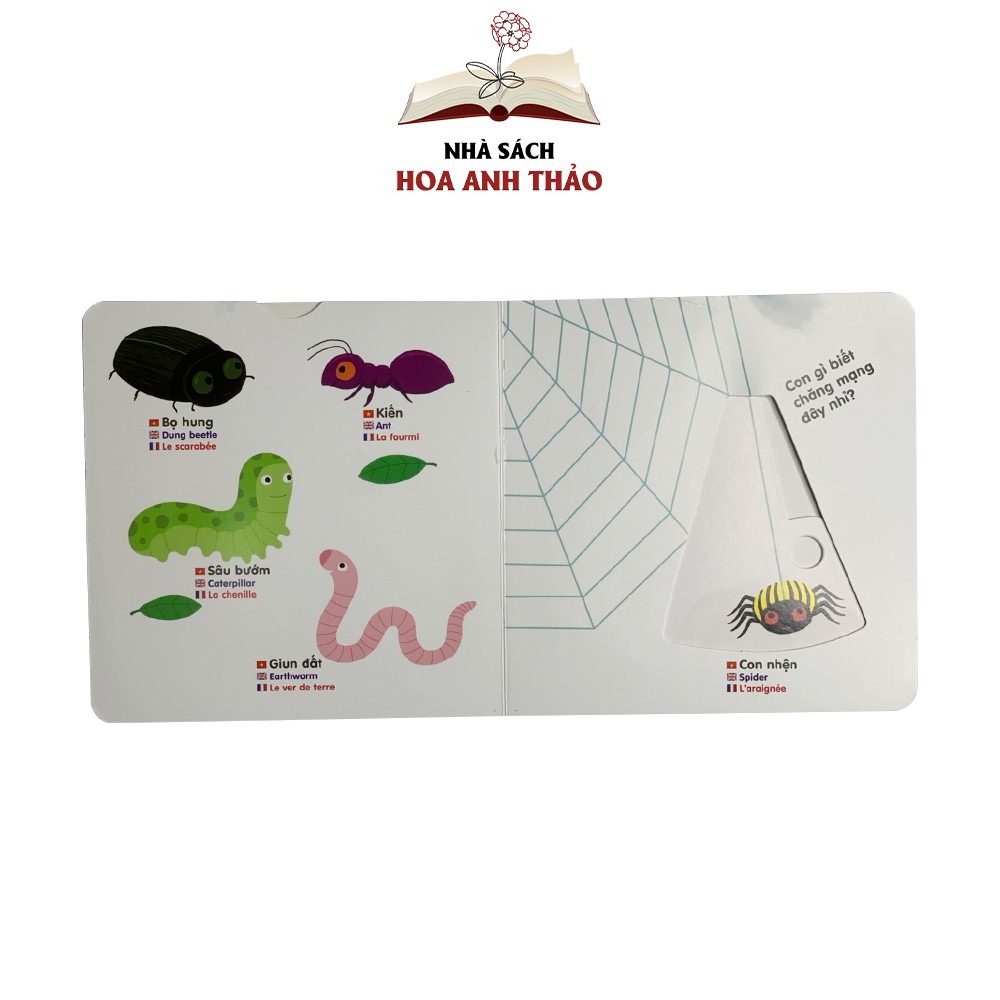 Sách chuyển động tương tác - Đa ngữ Anh Việt Pháp chủ đề Small animals Các động vật nhỏ bé