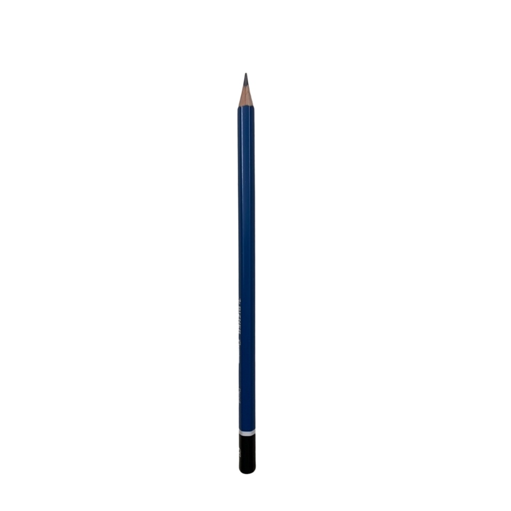 Bút chì gỗ cao cấp BIZ -P02 2B