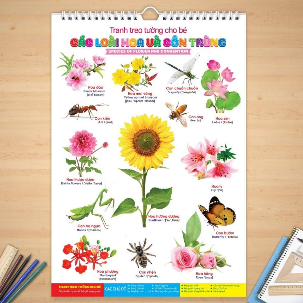 Bộ Tranh Treo Tường Cho Bé  - 14 Chủ Đề Song Ngữ Anh Việt 41x64
