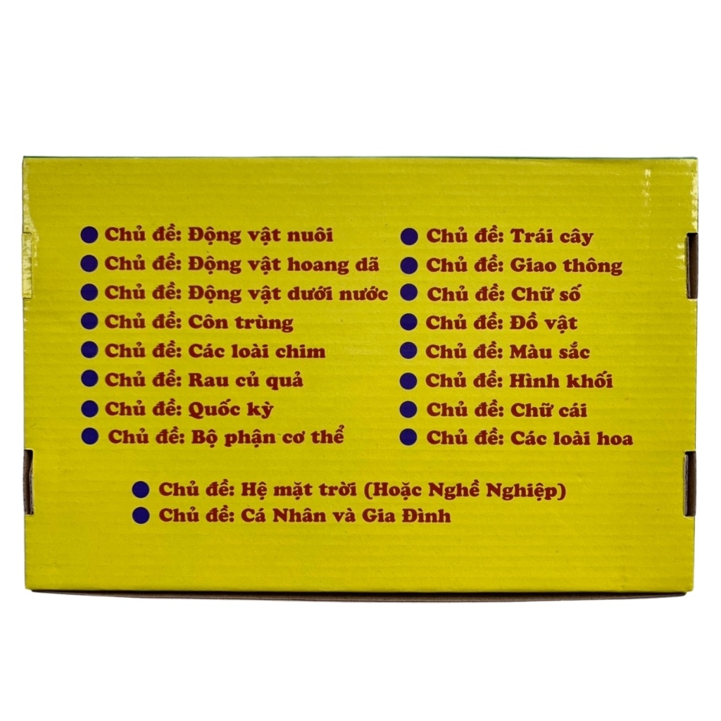 Bộ Thẻ Học Thông Minh 19 Chủ Đề Loại To
