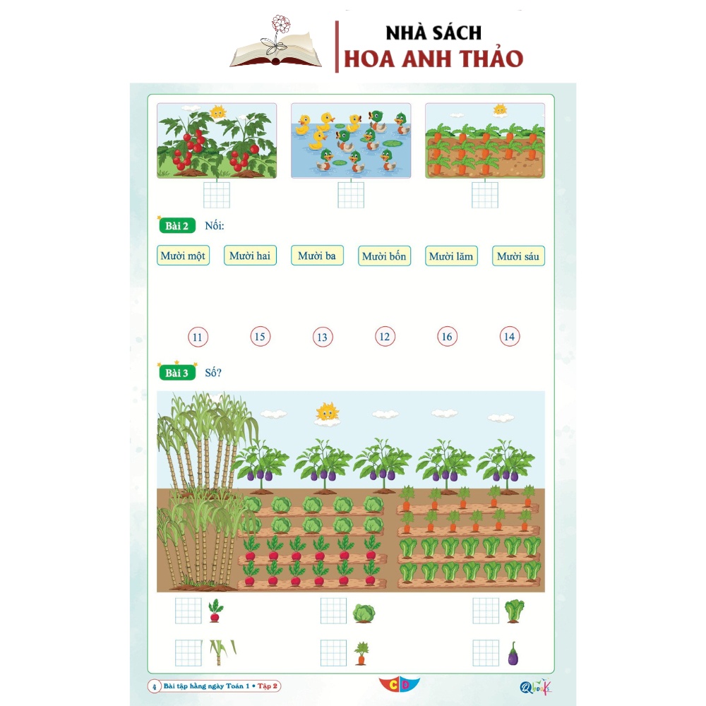 Sách - Combo Bài Tập Hàng Ngày Toán Và Tiếng Việt Lớp 1 - Cánh Diều - Tập 2