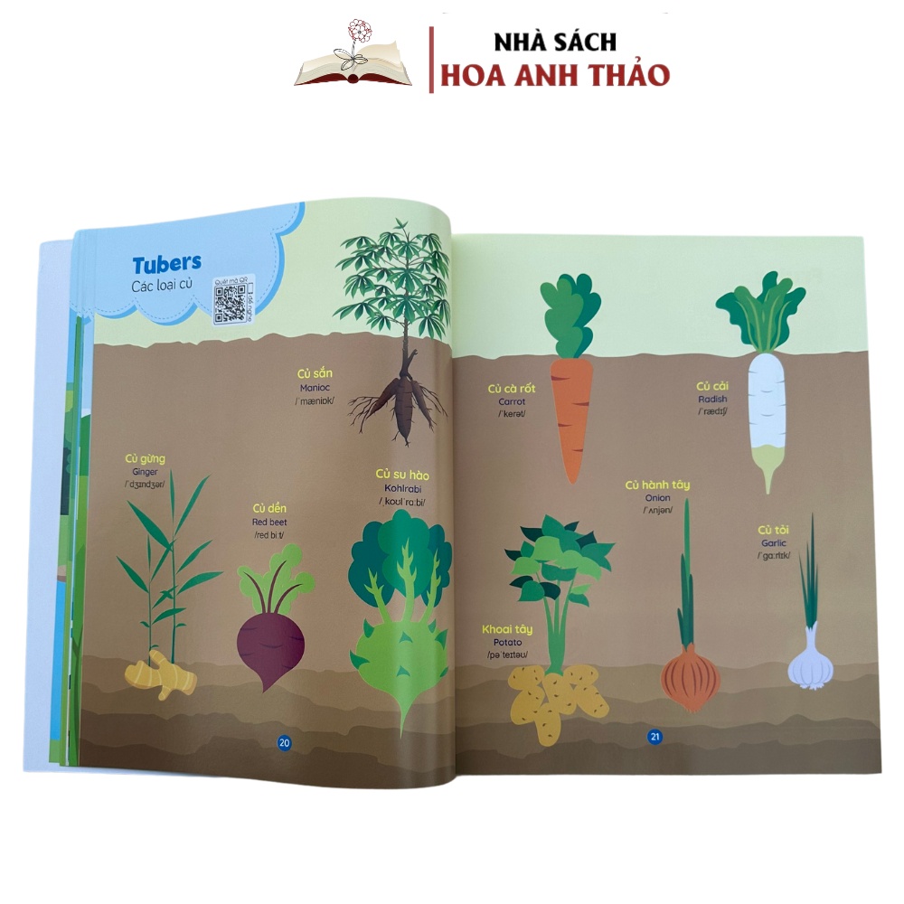 1000+ Từ Vựng Tiếng Anh Đầu Tiên Cho Bé 28 Chủ Đề