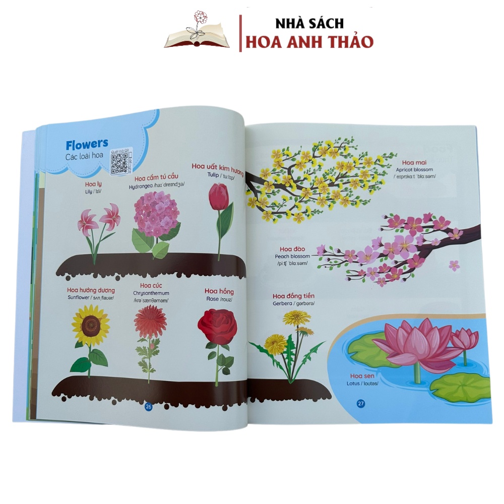 1000+ Từ Vựng Tiếng Anh Đầu Tiên Cho Bé 28 Chủ Đề