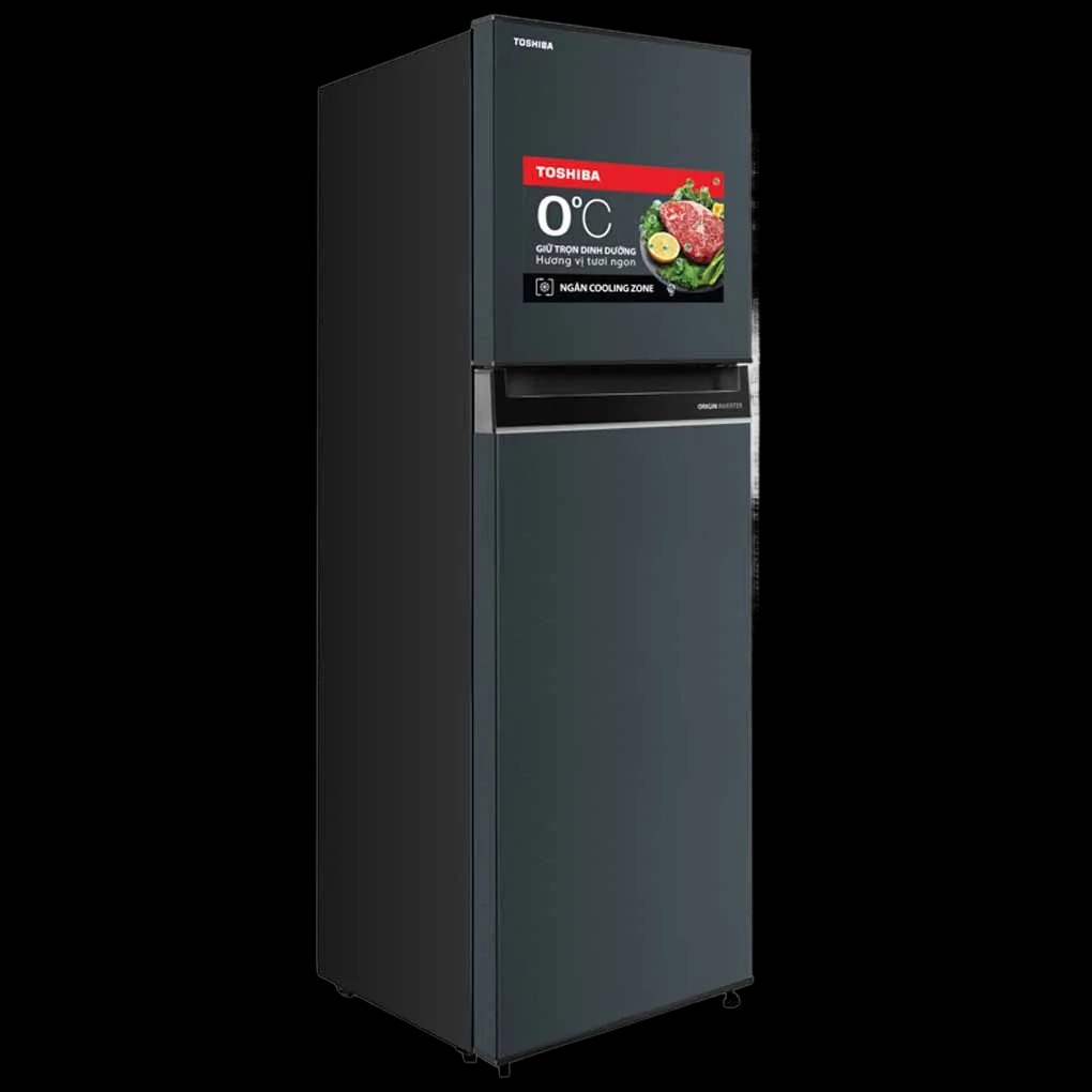 Tủ lạnh Toshiba inverter 253 lít GR-RT329WE-PMV (52)