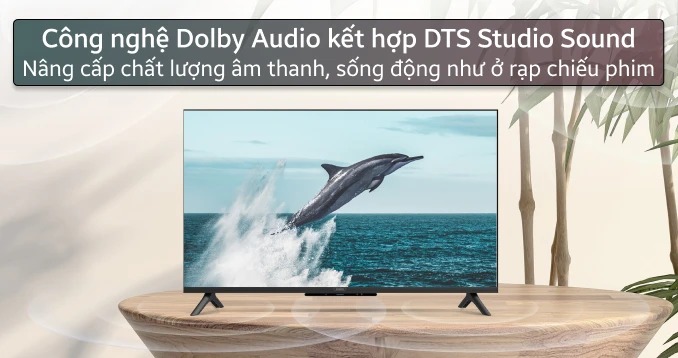Google Tivi 4K Coocaa 85 inch 85Y73