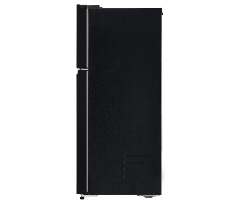 Tủ lạnh LG Inverter 217 lít T21BG
