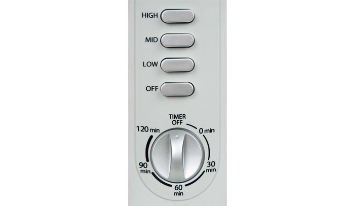 Quạt cây Toshiba 5 cánh F-LSA10(H)VN