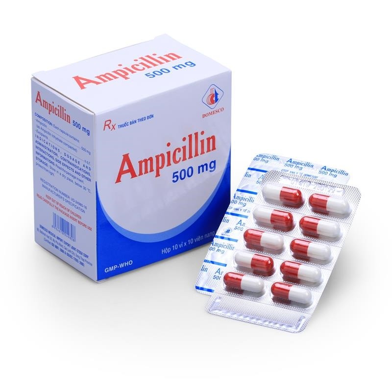 Ampicilin 500mg - DMC