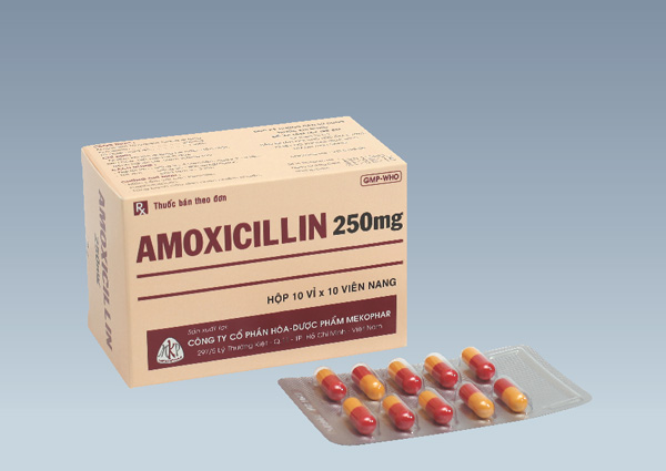 Amoxicilin 250mg - Mekophar (viên)