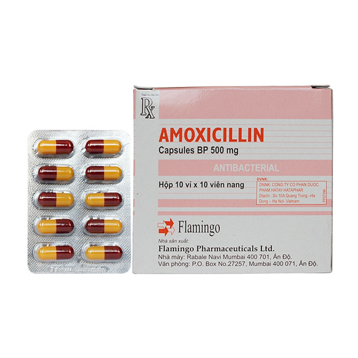 Amoxicylin 500mg (Flamigo) - ấn Độ