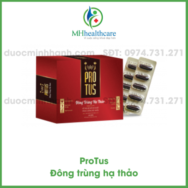 ProTus đông trùng hạ thảo lọ 30 viên
