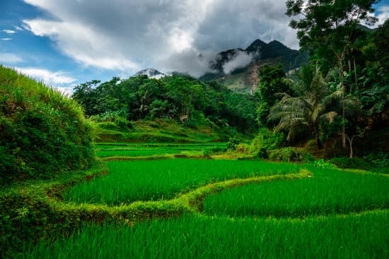 SAPA - LAI CHÂU - ĐIỆN BIÊN - MỘC CHÂU - MAI CHÂU 5 NGÀY 4 ĐÊM