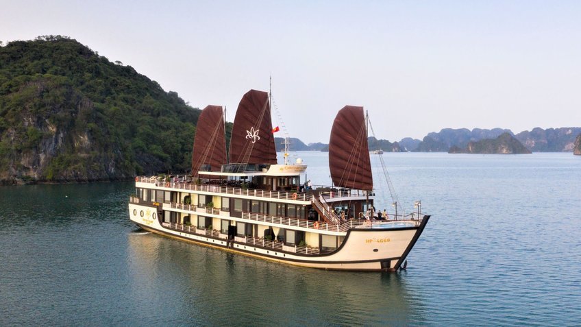 Du Thuyền Orchid Trendy